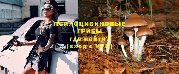 МДМА Вяземский