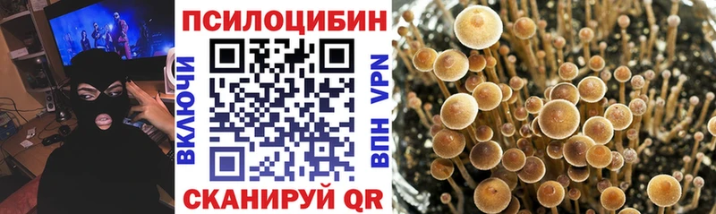 Псилоцибиновые грибы MAGIC MUSHROOMS  Инта 